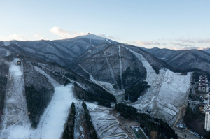 경북도, 울진에 ‘산림 대전환 프로젝트’…산불피해 극복