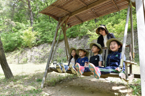 청송군 유치원․어린이집 대상 유아숲 체험장 운영