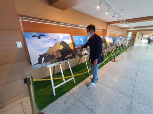 독도 홍보 사진 전시회