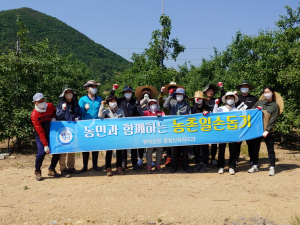 영덕군 종합민원처리과 직원 13명, 농촌 봉사