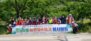 청도농협, 일손부족 관내 복숭아농가 돕기