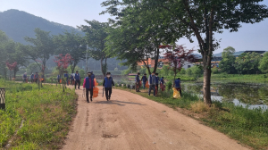 바르게살기운동 영양군협의회, 환경정화 활동