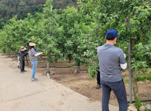 영덕군 창수면 직원 10여명, 농촌일손돕기 동참