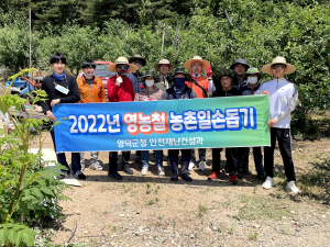 영덕군 안전재난건설과 직원들, 농촌일손돕기