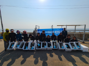 전복 종자 약 30만 마리 마을어장 10곳 방류