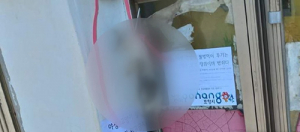 포항서 새끼고양이 죽여 먹이터에 매단 범인, 경찰이 추적