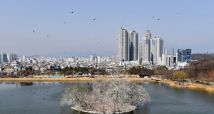 족쇄 풀린 대구 “날개 달 것” “더 지켜봐야” 기대반 우려반