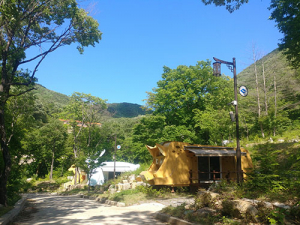 올 여름휴가 경북 자연휴양림에 가면 특별한게 있다