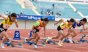 영천 포은초 교보생명컵 육상경기서 선전