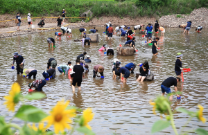 영양군 청기 골부리 축제 2천여명 참여 성황