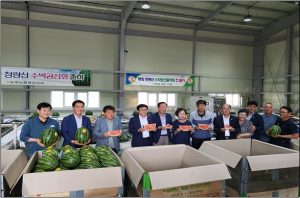 무더위 입맛 사로잡는 봉화 청량산 수박