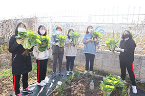 경북교육청‚ 아이들의 행복 자라는 학교텃밭 활동