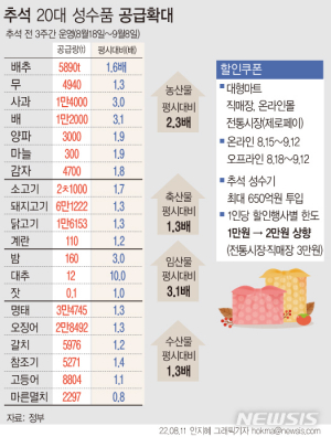 추석 성수품 물가만 잡으면 끝? “당분간 상승세 지속”