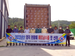 아삭아삭 맛있는 ‘영덕 원황배’ 올해 첫 해외 수출