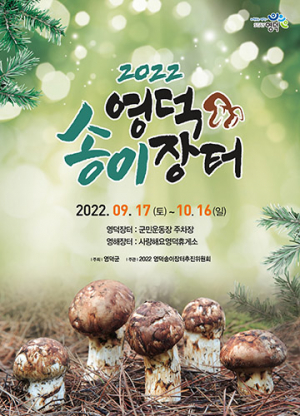 ‘송이 생산량 전국 1등’ 영덕 송이장터에서 만나요