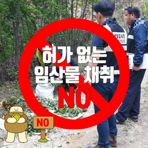 문경시, 가을철 불법 임산물 채취 특별단속