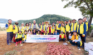 성주군, 고구마에 사랑 싣고 ‘희망텃밭’ 결실 맺다