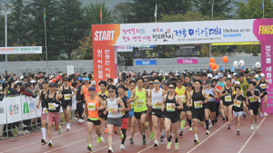 광역철도 연장기원 ‘청도반시 전국마라톤대회’ 성료