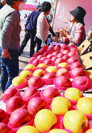 ‘제16회 청송사과축제’