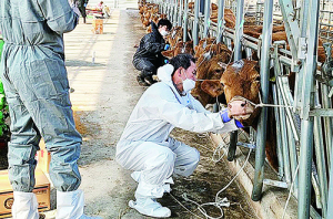 경북 수의직 공무원 응시자 매년 미달…
