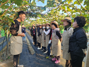 대구시 공영도시텃밭 2개소서 버스킹 개최