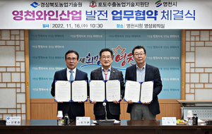 영천시, 와인산업 발전에 날개 달다