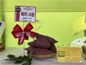 청정영양의 자랑거리 친환경농산물, 경북도 품평회서 특작·서류부문 대상