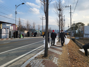 청도군 금천면, 설맞이 환경 정비