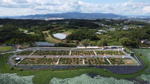경산시, 도시농업 공영농장 분양 홍보 시작
