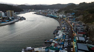 강구항 영덕대게거리 공영주차장 전면 무료화