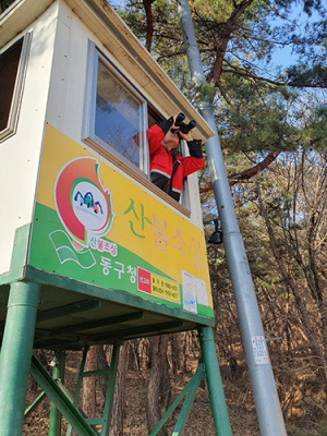 대구시 정월대보름 기간 산불 방지 총력전
