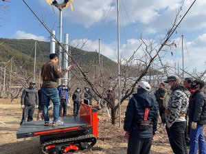 청도군, 과수재배 농가 전정교육 큰 호응