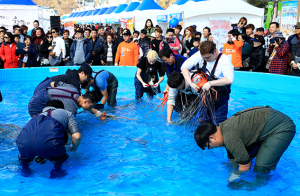 4년만에 돌아온 울진대게와 붉은대게축제 23일 개막