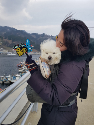 반려견과 함께 ‘울릉도 댕댕크루즈’ 겨울을 만나다