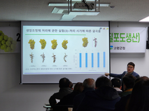 고령군농업기술센터, 고품질 샤인머스켓 교육