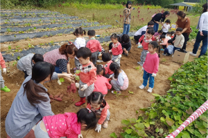 영주시, 비농업인 대상 도시텃밭 무료 분양