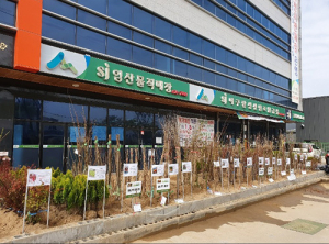 대구달성산림조합 나무시장 개장…25년째 이어오는 나무사랑