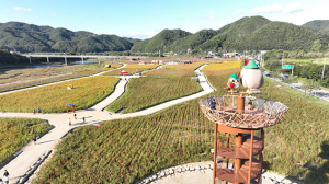 청송군, 숲으로 잘 사는 ‘산림 르네상스’ 시대 연다