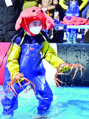 영덕 대게 잡아 올리는 어린이