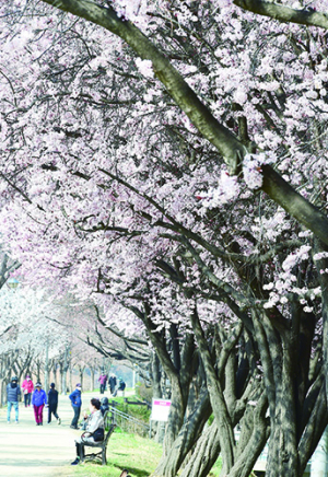 봄이 왔어요~