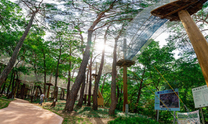 영덕군 산성계곡 생태공원 어드벤처 내달 1일 재개장