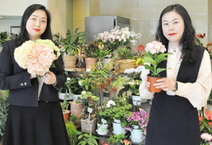 대구지역 롯데백화점, 화훼농가 돕기 발벗고 나선다