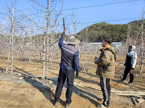 영덕군, 신규농업인 현장실습 교육 추진