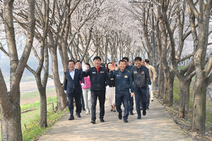 청송군, 광덕 인도교 개통…벚꽃길 걷기행사 ‘대성황’