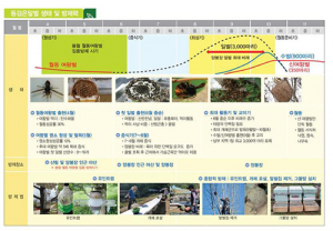 “꿀벌 피해 막아라”…여왕벌 활동 4~6월 전국 방제해야