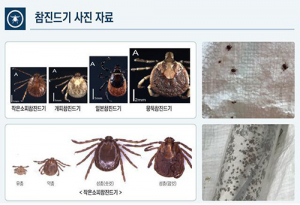 道, “야외활동 불청객, 진드기로 빨간불”…지난해 23명 발생 6명 사망