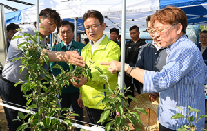 경북도, 전국 최초 사과 스마트 팜 모델 공개…1㏊ 규모