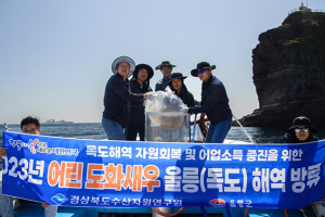 울릉군, 도화새우 20만마리 방류