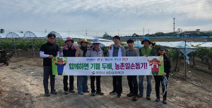 영천시 새마을체육과, 포도재배 농가 일손돕기