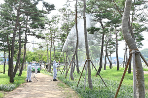 청송군, 지자체 산림분야 평가 ‘우수기관’ 선정